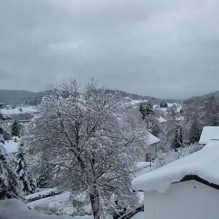 Gastehaus Steininger تزفيسل