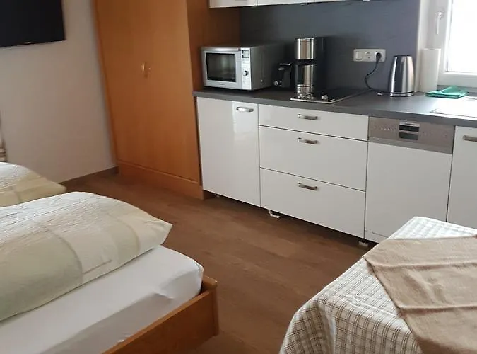 Gastehaus Steininger 4* تزفيسل