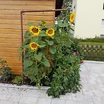 Gaestehaus Steininger Guest house 4*
