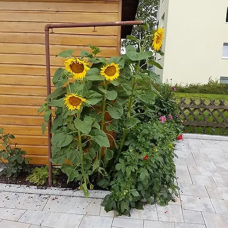 Gaestehaus Steininger Guest house *