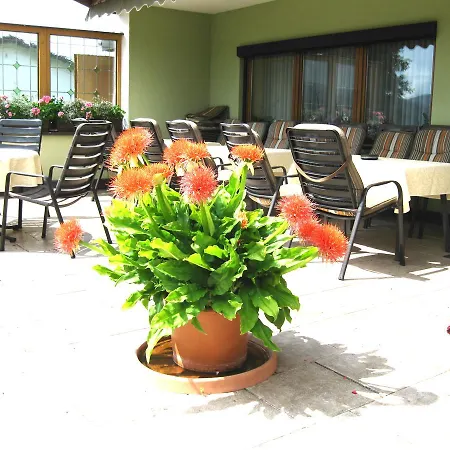 Gaestehaus Steininger 4*